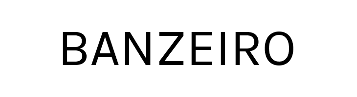BetinaSans  Free Fonts Download
