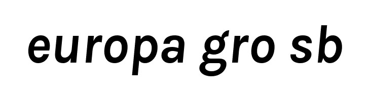 BetinaSans-BoldItalic  Free Fonts Download