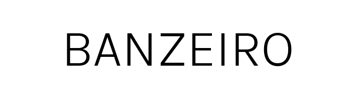 BetinaSans-Light  Free Fonts Download