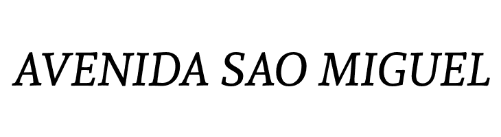 Andada Italic  Free Fonts Download