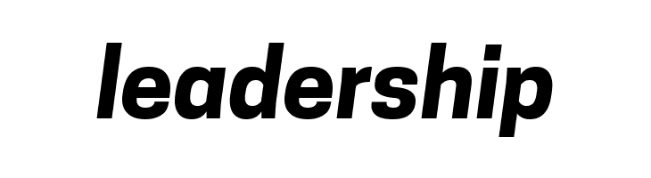 Tanohe Sans Bold Italic  Free Fonts Download