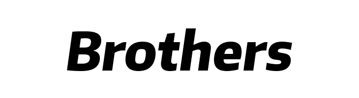 Plata Sans ExtraBold Italic  Free Fonts Download