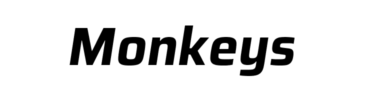 Azeri Sans Bold Italic  Free Fonts Download