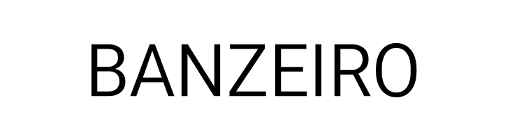 Vazir Light  Free Fonts Download