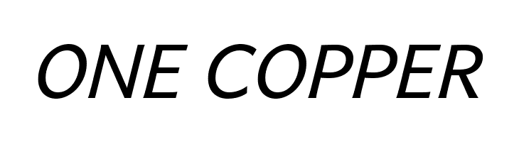 Andika New Basic Italic  Free Fonts Download