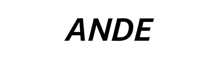 Andika New Basic Bold Italic  Free Fonts Download