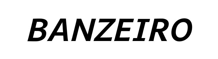 Andika New Basic Bold Italic  Free Fonts Download