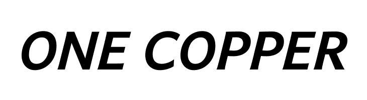 Andika New Basic Bold Italic  Free Fonts Download