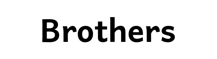 Andika New Basic Bold  Free Fonts Download