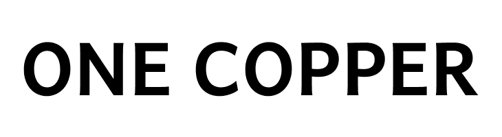 Andika New Basic Bold  Free Fonts Download