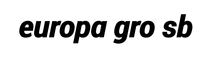 Roberto Sans Black Italic  Free Fonts Download