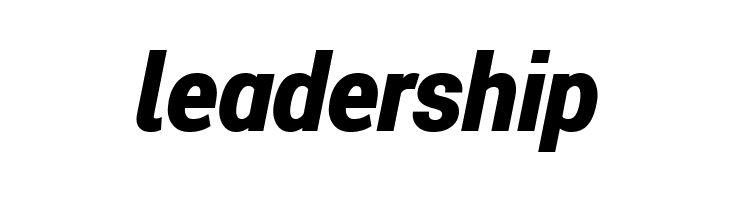 Roberto Sans Black Italic  Free Fonts Download