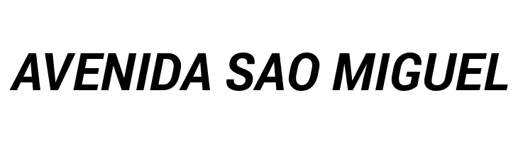 Roberto Sans Bold Italic  Free Fonts Download