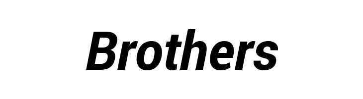 Roberto Sans Bold Italic  Free Fonts Download