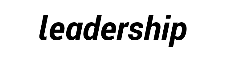 Roberto Sans Bold Italic  Free Fonts Download