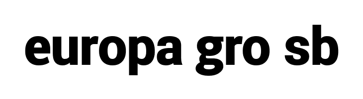 Roberto Sans Black  Free Fonts Download
