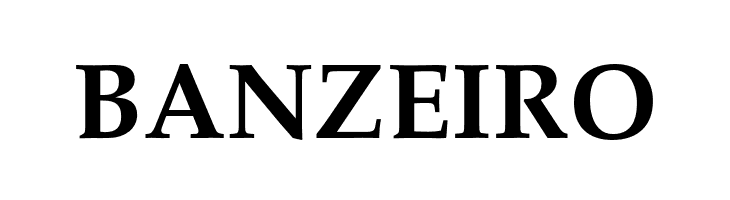 FPL Neu Bold  Free Fonts Download