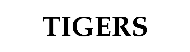 FPL Neu Bold  Free Fonts Download