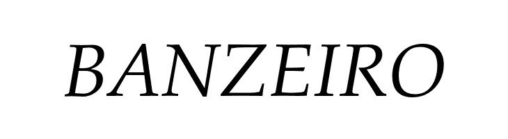 FPL Neu Italic  Free Fonts Download