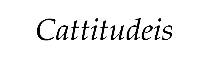 FPL Neu Italic  Free Fonts Download