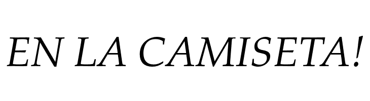 FPL Neu Italic  Free Fonts Download