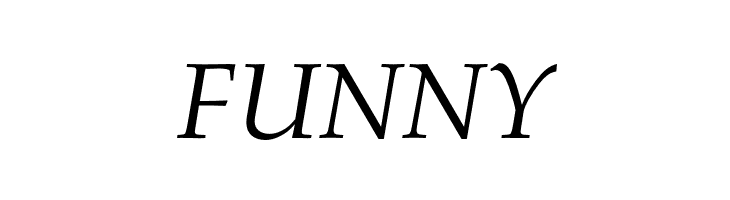 FPL Neu Italic  Free Fonts Download