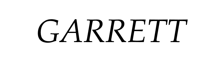FPL Neu Italic  Free Fonts Download