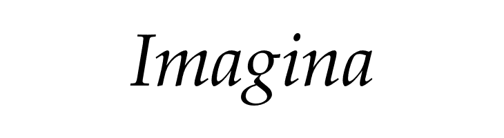 FPL Neu Italic  Free Fonts Download