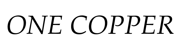 FPL Neu Italic  Free Fonts Download