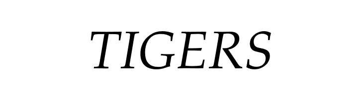 FPL Neu Italic  Free Fonts Download