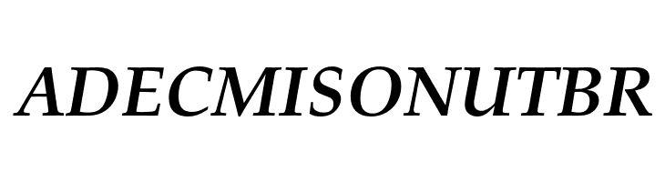 FPL Neu Bold Italic  Free Fonts Download