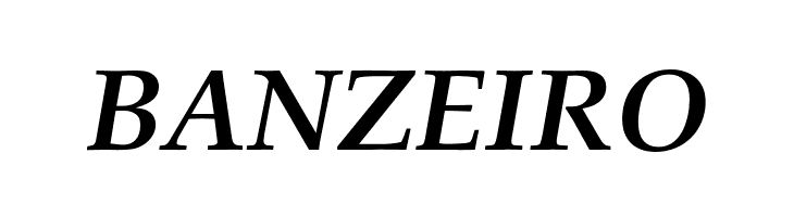 FPL Neu Bold Italic  Free Fonts Download