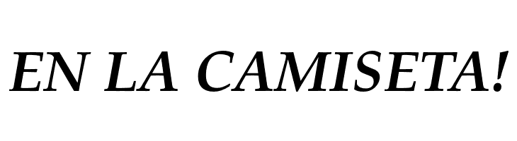 FPL Neu Bold Italic  Free Fonts Download