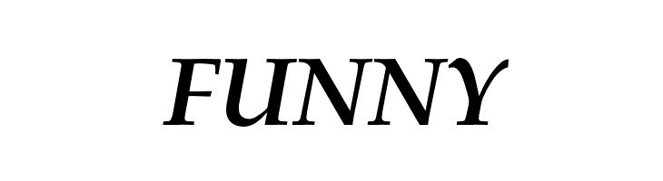 FPL Neu Bold Italic  Free Fonts Download