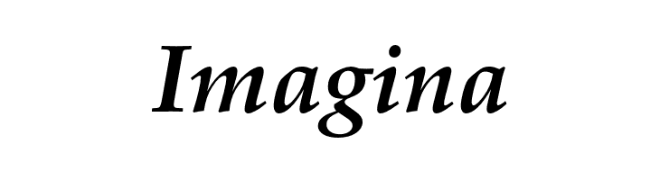 FPL Neu Bold Italic  Free Fonts Download