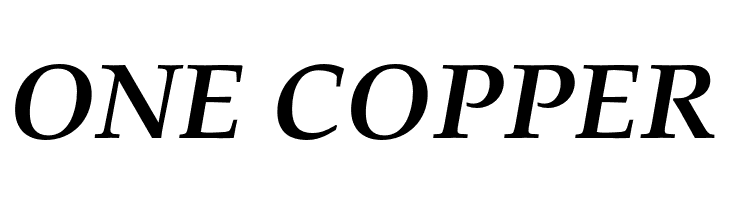 FPL Neu Bold Italic  Free Fonts Download