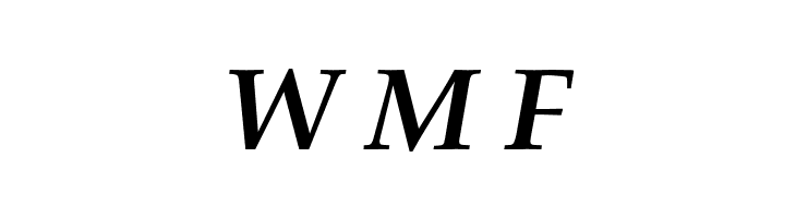 FPL Neu Bold Italic  Free Fonts Download