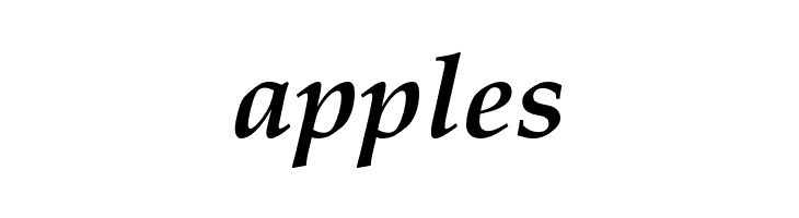 FPL Neu Bold Italic  Free Fonts Download