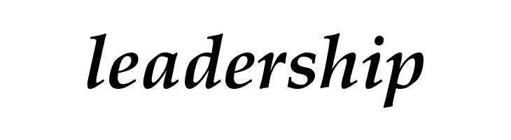 FPL Neu Bold Italic  Free Fonts Download