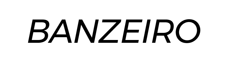 Argentum Novus Italic  Free Fonts Download