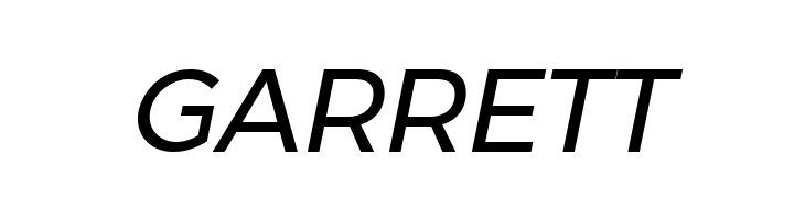 Argentum Novus Italic  Free Fonts Download