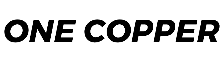 Argentum Novus Bold Italic  Free Fonts Download