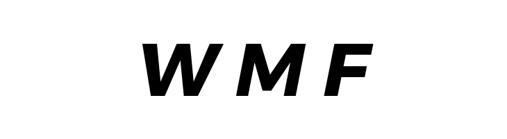 Argentum Novus Bold Italic  Free Fonts Download