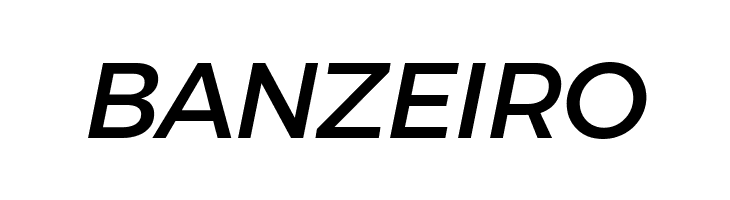 Argentum Novus Medium Italic  Free Fonts Download