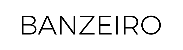 Argentum Novus Light  Free Fonts Download