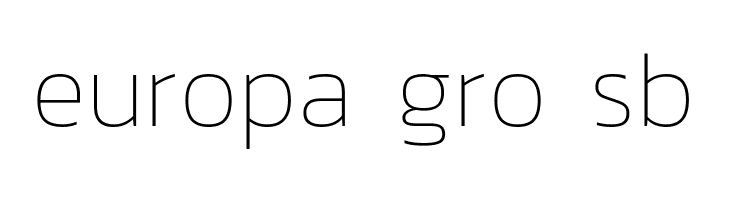 Dizhitl Thin Regular  Free Fonts Download