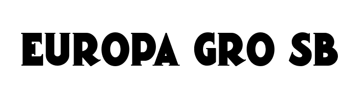 Magic Lantern NF  Free Fonts Download
