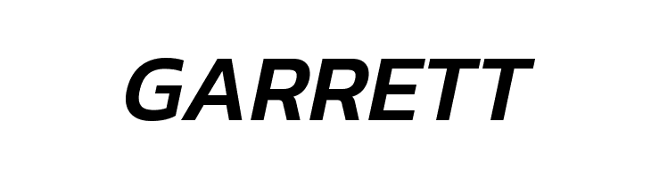 Dizhitl Medium Italic  Free Fonts Download