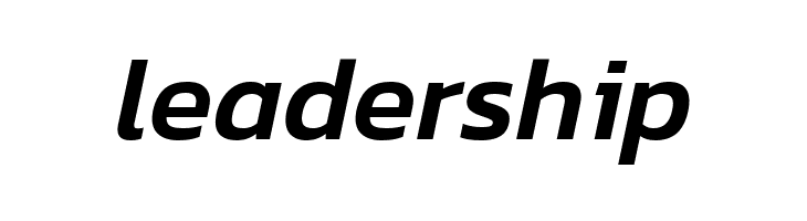 Dizhitl Medium Italic  Free Fonts Download