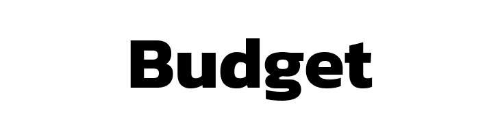 Dizhitl Bold  Free Fonts Download